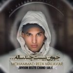 محمدرضا ملاور – جوون بیست و چند ساله